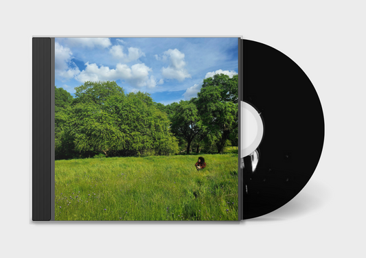 Ebbs and Flows CD (Jewel Case)